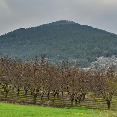 Pearl Of The Valley Hotel Kfar Tavor Bagian luar foto