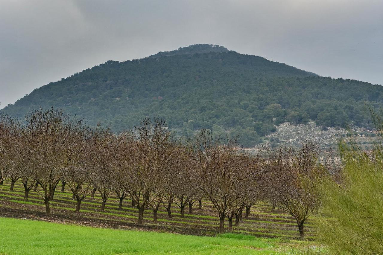 Pearl Of The Valley Hotel Kfar Tavor Bagian luar foto