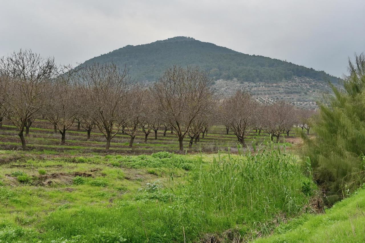 Pearl Of The Valley Hotel Kfar Tavor Bagian luar foto